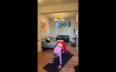SHRED AT HOME WITH LAURA